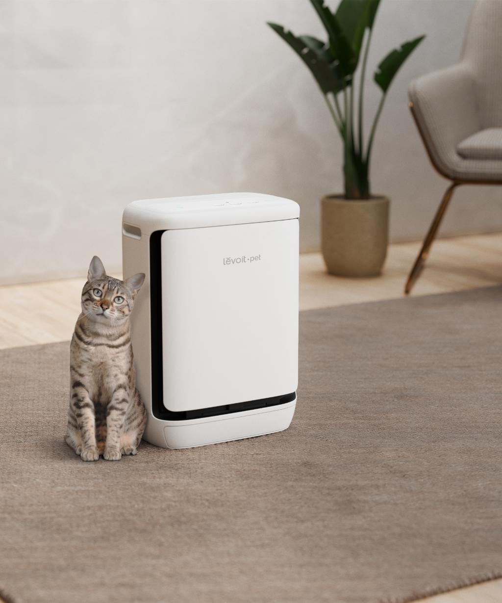Living Room Cat And Purifier