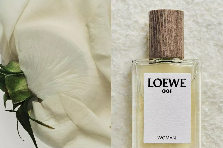 LOEWE 001: Khi một khởi đầu trở thành biểu tượng LOEWE 001: Khi một khởi đầu trở thành biểu tượng