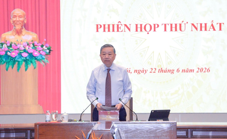 Chinh Phu Thao Go Den Cung De Doanh Nghiep Tu Minh Di Toi 1