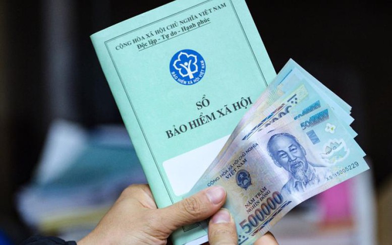 Hon 800 Can Noxh Tai Tp Hcm Sap Trinh Lang Voi Gia Tu 198 Trieu Dong M2 1