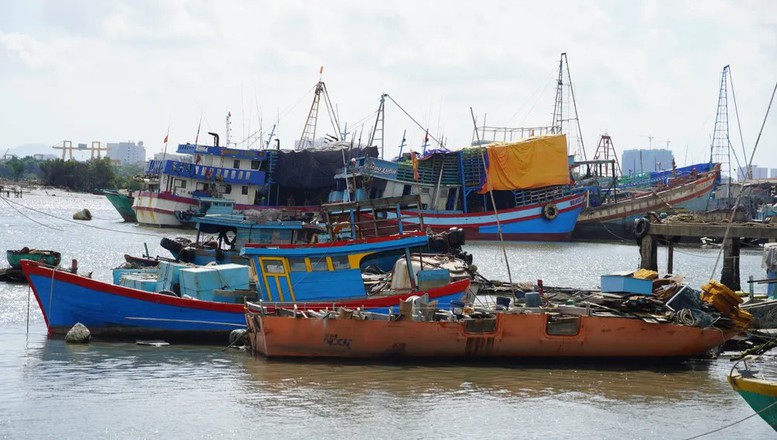 Quan Ly Chat Tau Thuyen Chu Dong Ung Pho Ap Thap Nhiet Doi Tren Bien 1