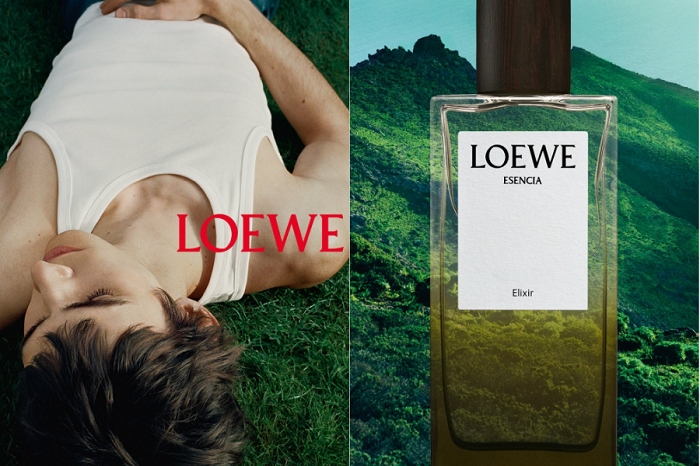 Top 3 mùi hương Elixir đình đám trong bộ sưu tập Landscape của LOEWE Top 3 mùi hương Elixir đình đám trong bộ sưu tập Landscape của LOEWE
