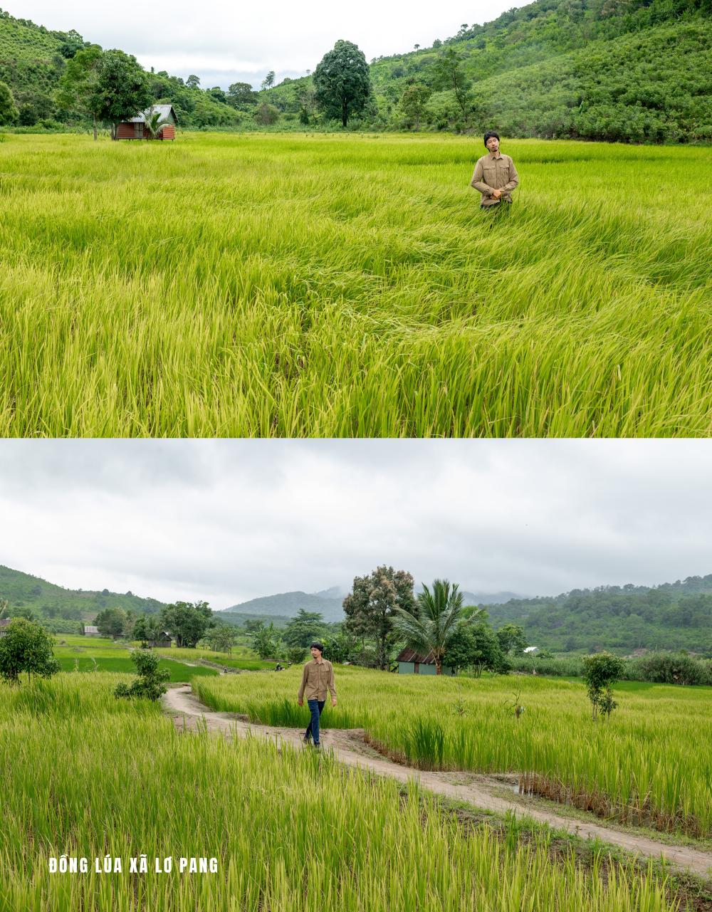Đen Canh Dong 1
