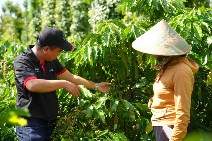 Thông Qua Chương Trình Nescafé Plan, Nestlé Việt Nam Hỗ Trợ Các Nông Hộ Áp Dụng Phương Pháp Nông Nghiệp Tái Sinh Giúp Họ Nâng Cao Thu Nhập, đồng Thời Góp Phần Tạo Ra Nguồn Cung Ổn định, đồ