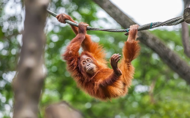 Singapore Zoo 7665 5624